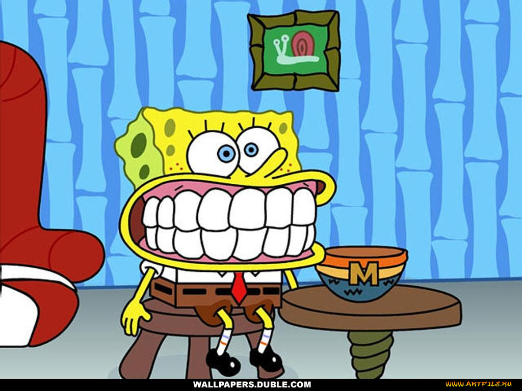 , spongebob, squarepants